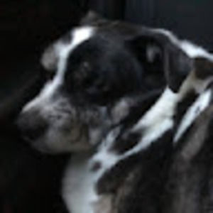 Meet your Posher, Carla s